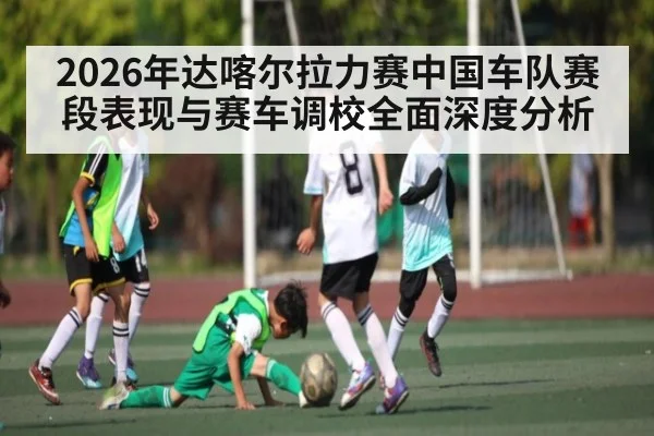 2026年达喀尔拉力赛中国车队赛段表现与赛车调校全面深度分析 - LEYU SPORTS
